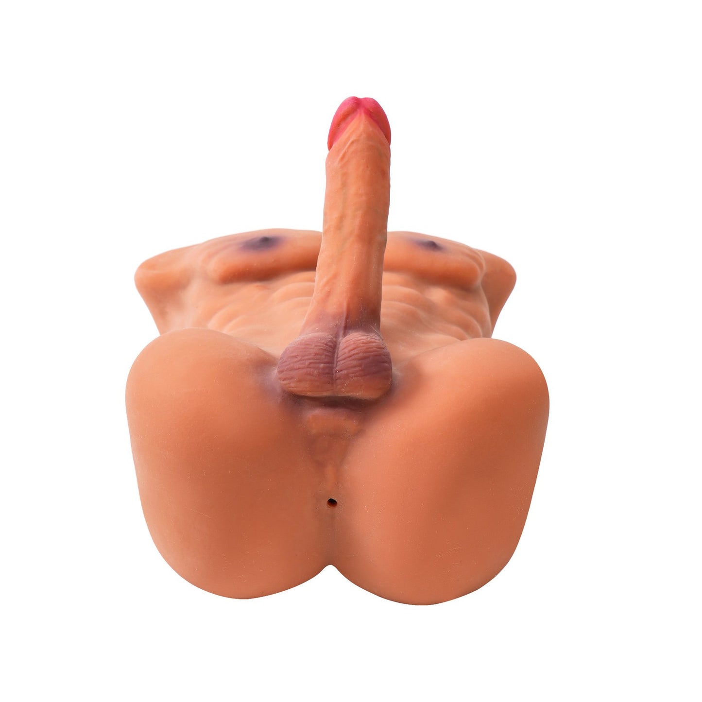 11kg muscular male torso sex doll realistic upper body model bottom view on plain background