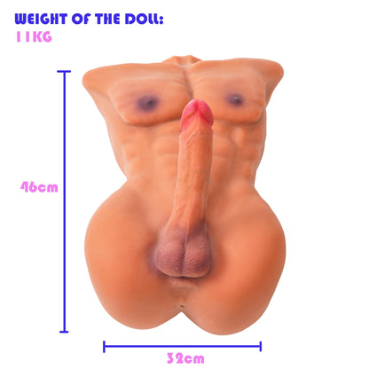 11kg muscular male torso sex doll realistic upper body model dimensions image with height and width
