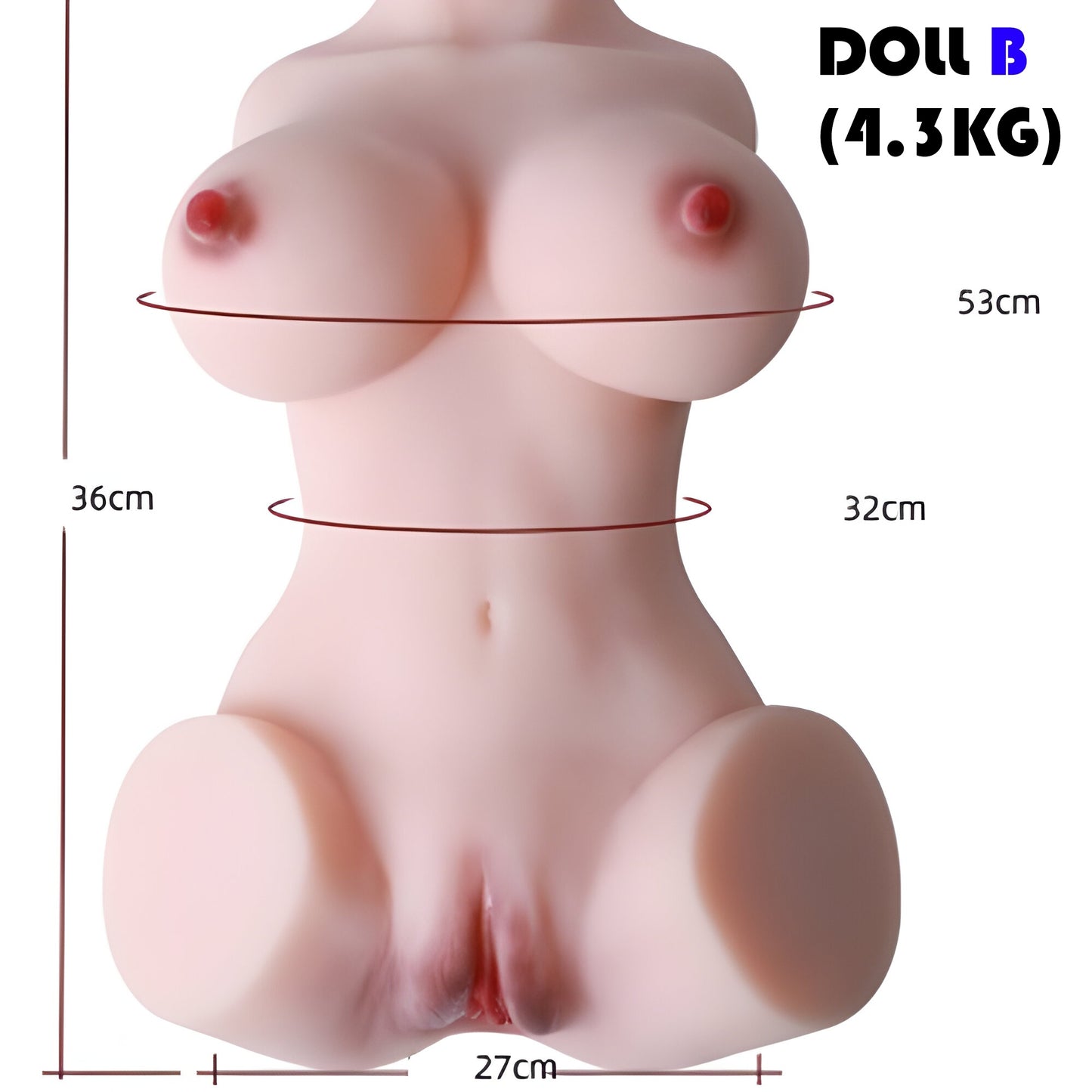 4.3kg lightweight torso sex doll compact petite model measurement guide